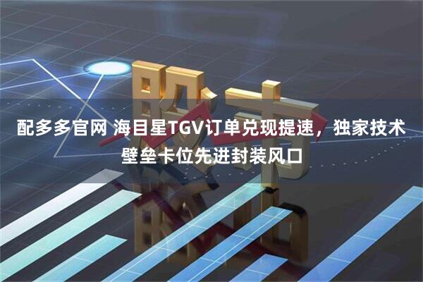 配多多官网 海目星TGV订单兑现提速，独家技术壁垒卡位先进封装风口