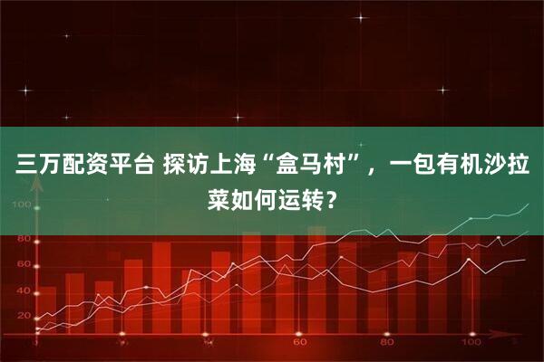 三万配资平台 探访上海“盒马村”，一包有机沙拉菜如何运转？