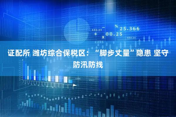 证配所 潍坊综合保税区：“脚步丈量”隐患 坚守防汛防线